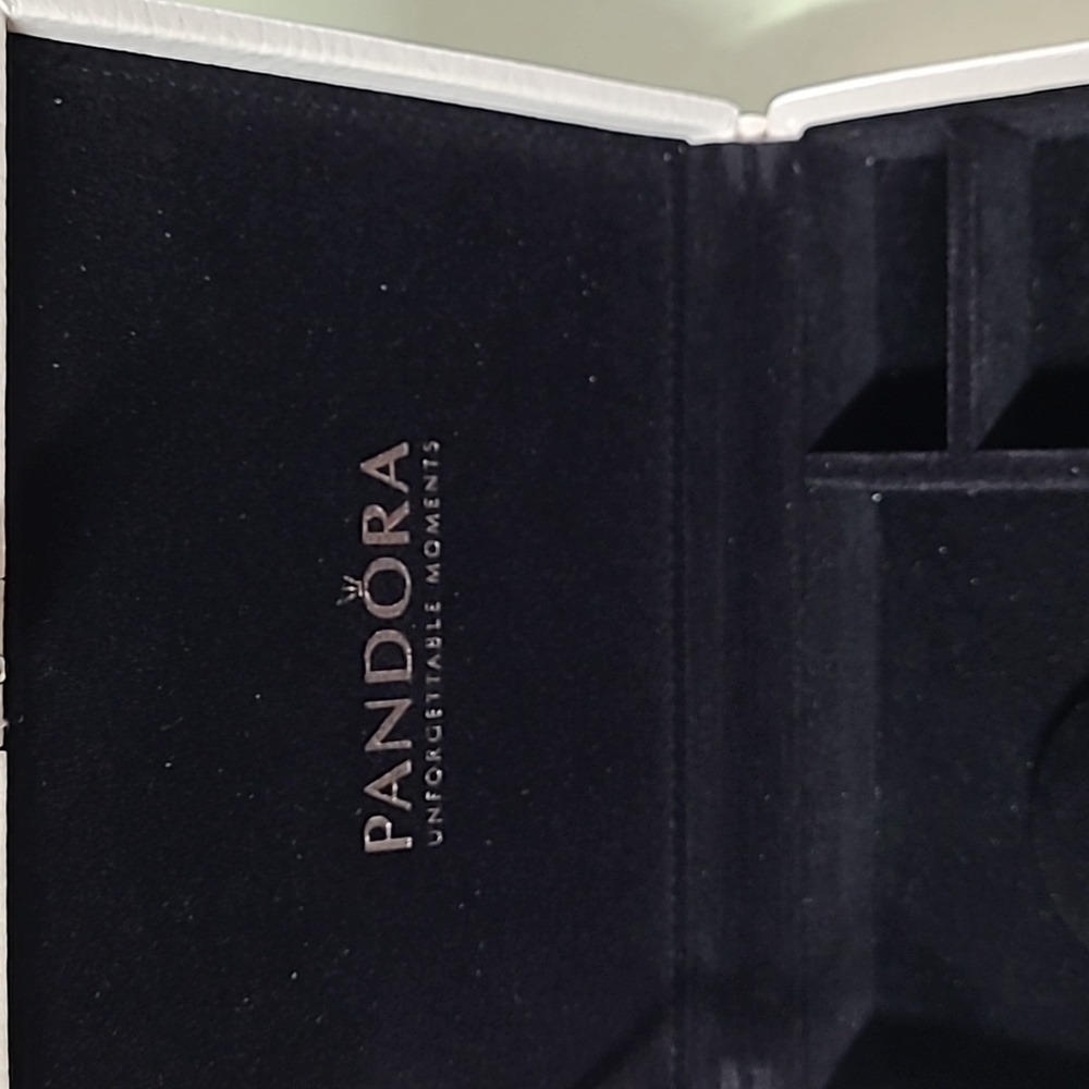 Pandora leather pink case - Picture 4 of 10